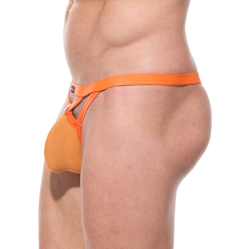 TХå ֥꡼ GreggHomme/å CANDY-X BRIEF Ω˥ TХå 塡󥺡ѥ 