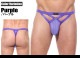 TХå ֥꡼ GreggHomme/å CANDY-X BRIEF Ω˥ TХå 塡󥺡ѥ 