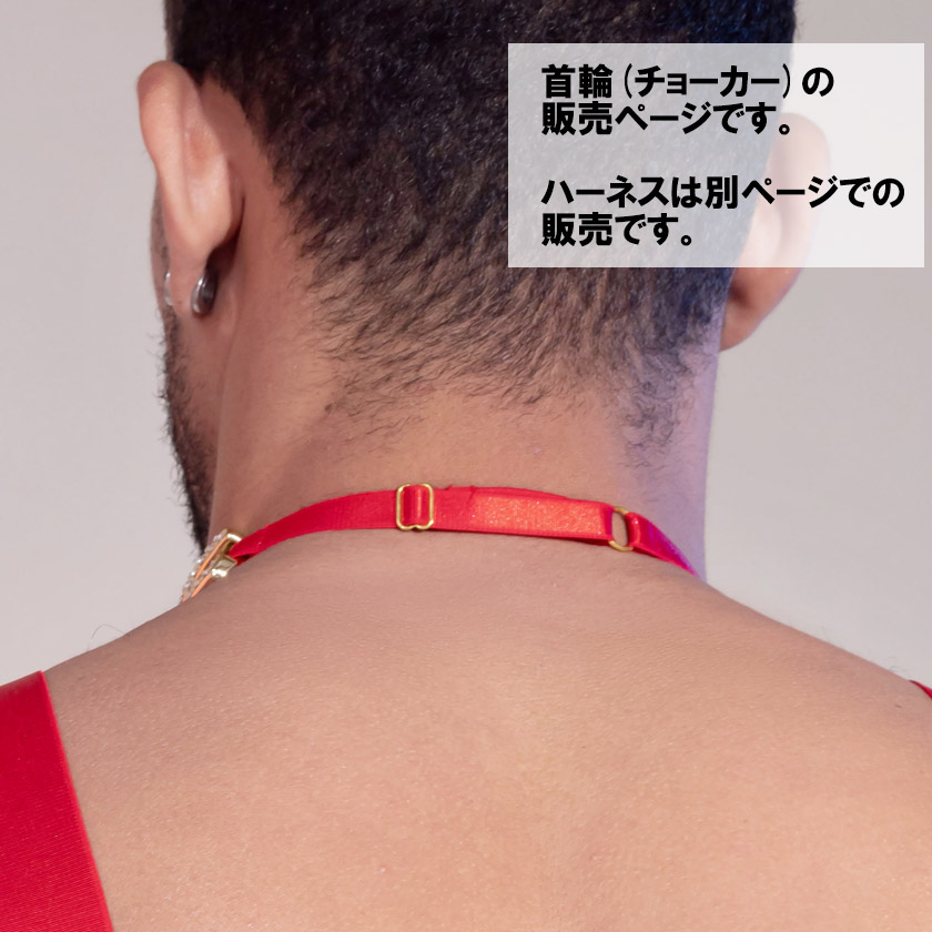 DEEP NOVA/�ǥ����ץΥ�  ���硼���� ���������꡼ ���쥬��� ���饭�� ������Ĵ����ǽ ���� �������㥹