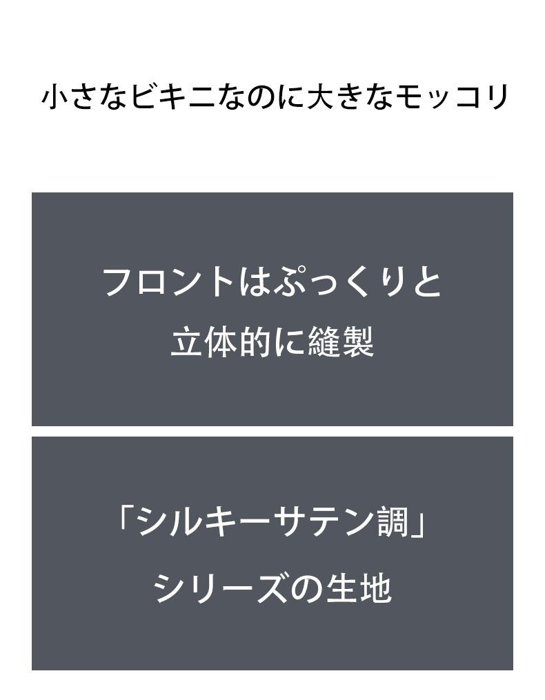 ���T�Хå� G-Station/�������ơ������ ���륭�����ƥ�Ĵ ���� �ߥ�T�Хå� T�Хå� �������� ��� �������� �ޥ�����T�Хå� Ω��˥��