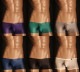 TM Collection Clearskin Big Bulge Boxer �������� ��󥺡��ܥ����������塡�ѥ�ġ����������������TM���쥯������