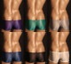TM Collection Clearskin Big Bulge Boxer �������� ��󥺡��ܥ����������塡�ѥ�ġ����������������TM���쥯������