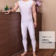 ��󥺥ܥǥ��������� �岼���η�����ʡ� meise/�ᥤ�� �����ץ� �������塼��  �������塡��󥺡������������岼���η� ���٥��١���餫