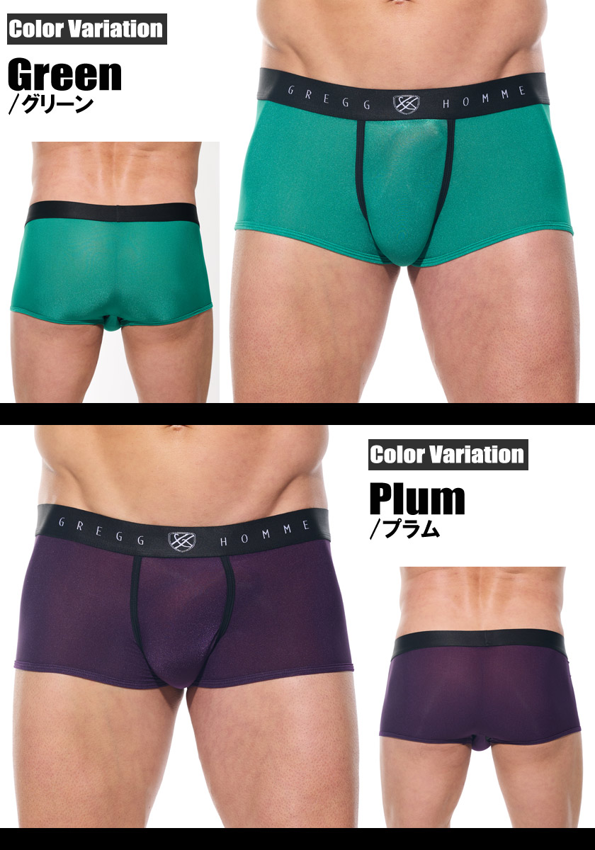 ܥѥ  GreggHomme/åNEWCOLOR TORRID/ȥХ 饤ܥѥ