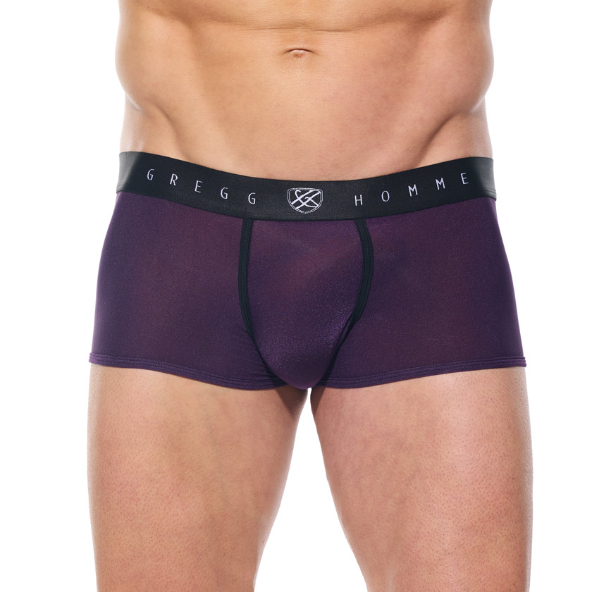 ܥѥ  GreggHomme/åNEWCOLOR TORRID/ȥХ 饤ܥѥ