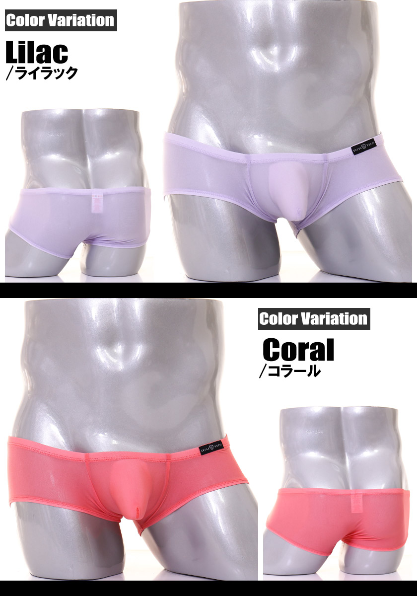 ܥѥ  GreggHomme/åTORRID/ȥå 롼 եȤäꥷ硼ȥܥѥ ۥ磻ȥǡ