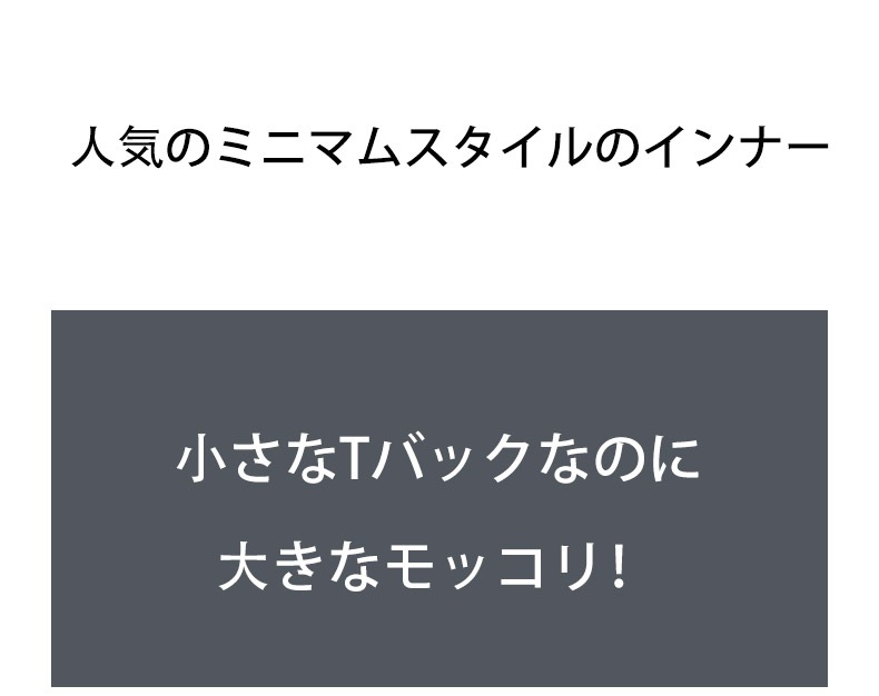 ���T�Хå� G-Station/�������ơ������ ���������å� Ʃ����å��� ���ץ��� �ߥ�T�Хå� Ω��˥�� ��� �������� ���� ����ʡ� ���顼���� �ѥå���� ���� ���� �̵��� �����饤��