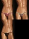 ���T�Хå� TM���쥯�����Houndstooth ��ǽ����ʡ� G-string����󥺡�T�Хå������塡�ѥ�ġ����������������TM Collection ��������