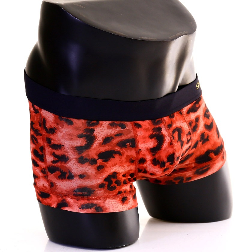 �ܥ������ѥ�� ��󥺡�Gravevault/���쥤�֥ܡ���ȡ�Leopard Low-rise �ܥ������ѥ�� ���  �ѥ�� �������� �������������