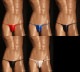 L������ ���T�Хå� TM���쥯�����WET Bulge style side string TB Lsize����󥺡�T�Хå������塡�ѥ�ġ����������������TM Collection ��������