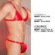��󥺥֥饸�㡼 DEEP NOVA/�ǥ����ץΥ�  �ե���ȥۥå����������塡��� ���ƥ�Ĵ���ĥ�ĥ롡���٥��١��֥饸�㡼