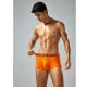 ��󥺥ܥ������ѥ�� SEOBEAN/���ӥ� Solid Color Boxer Brief 250209 �������塡��󥺡��ѥ�ġ��������� Ω��˥�� ̵��