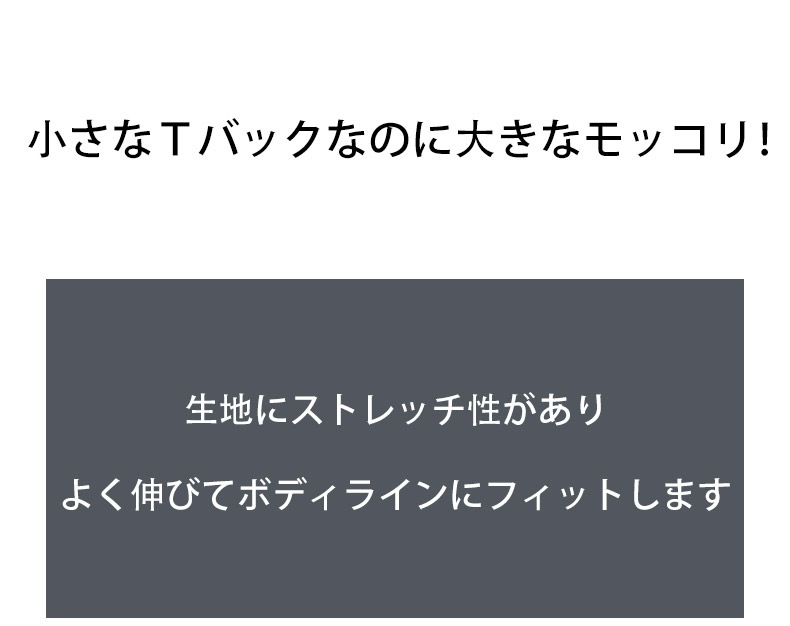 ���T�Хå� G-Station/�������ơ������ DEWTY SKIN �ܥ�塼�� Ω��˥�� �ߥ�T�Хå� ��� �������� �����쥹 T�Хå� �ޥ�����T�Хå� �̥ե����