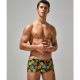 ��󥺥ȥ�󥯥� SEOBEAN/���ӥ� Fit Trunks 250503 �������塡��󥺡��ѥ�ġ��������� Ω��˥�� �꡼�ա�����󥸡��ѥ��ʥåץ롡�ե�
