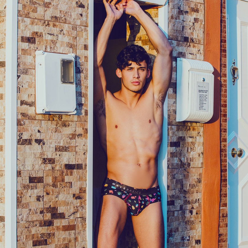 MaleBasics/�ᥤ��١����å��� Hipster Brief �ڥ���� ����ե� ���ȥ꡼�ȥڥ���� �ե�Хå� �ȥ��� �⥶�������ߥå� �ӥ��˥֥꡼�� �������塡��󥺡��ѥ��