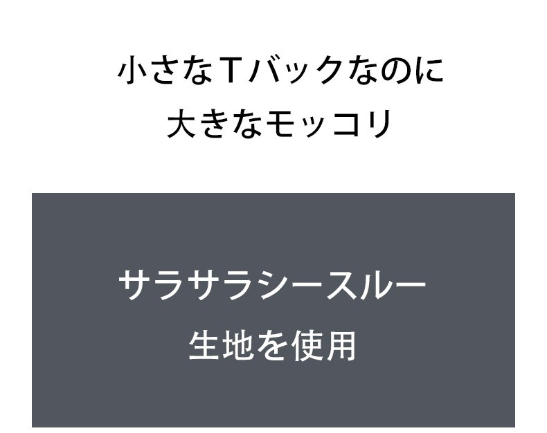18���ޤ�30��OFF�����T�Хå� G-Station/�������ơ������ ���饵������ Ω��˥�� �ߥ�T�Хå��� ��� �������� Ʃ�� �ޥ�����T�Хå� �ߥ� �ޥ���������ʡ� Ω��˥�� �Х�󥿥���2024 �ץ쥼���