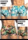 EScollection/�������������쥯����� HAWAIIAN SPORTS SHORTS ���� �ե� �ȥ��ԥ���  ���硼�ȥѥ�ġ�û�ѥ󡡥�󥺡��ܥȥॹ���ե��å���������塡���०����