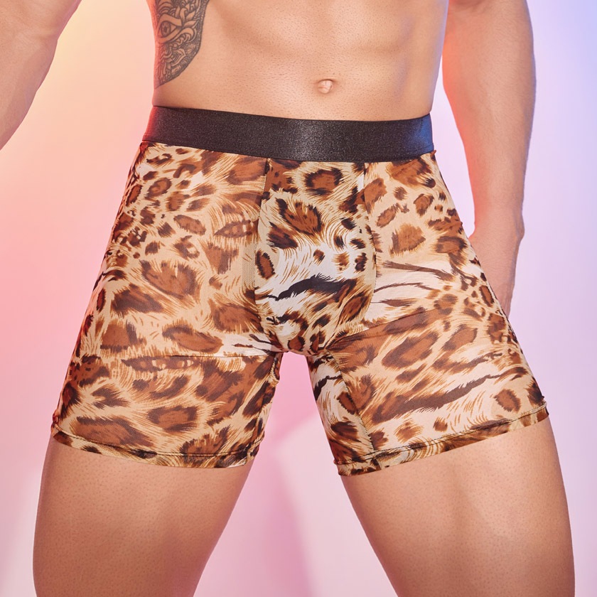 ��󥺥ܥ����� DEEP NOVA/�ǥ����ץΥ�  �쥪�ѡ��ɡ��ҥ祦����ɿ Ʃ���� ���󥰥ܥ����� �ܥ������ѥ�� �������� ��󥺡���������