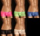 TM���쥯����� Clearskin �������Ȥ��ä��� low-rise BOXER����󥺡��ܥ����������塡�ѥ�ġ�������������� TM Collection