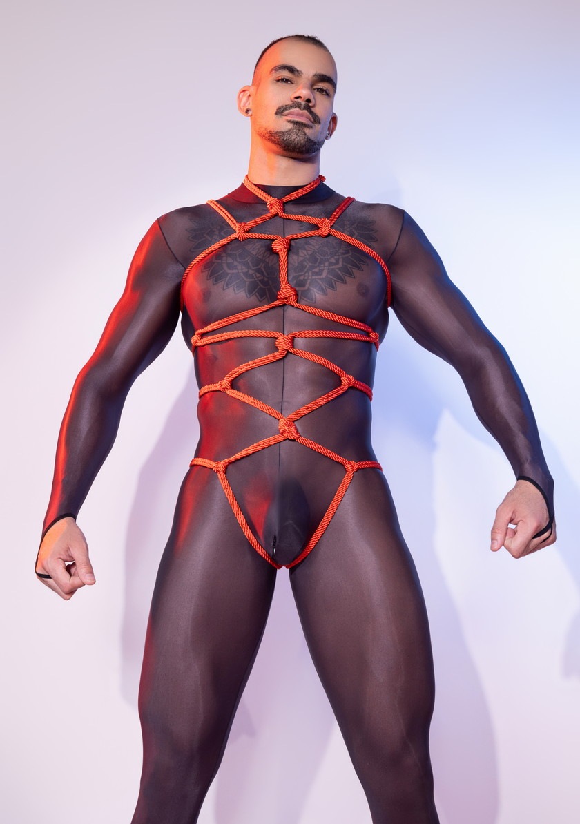 DEEP NOVA/�ǥ����ץΥ�  ��ܥǥ������� �ϡ��ͥ������� �ϡ��ͥ� ��« �� ��� ��«����