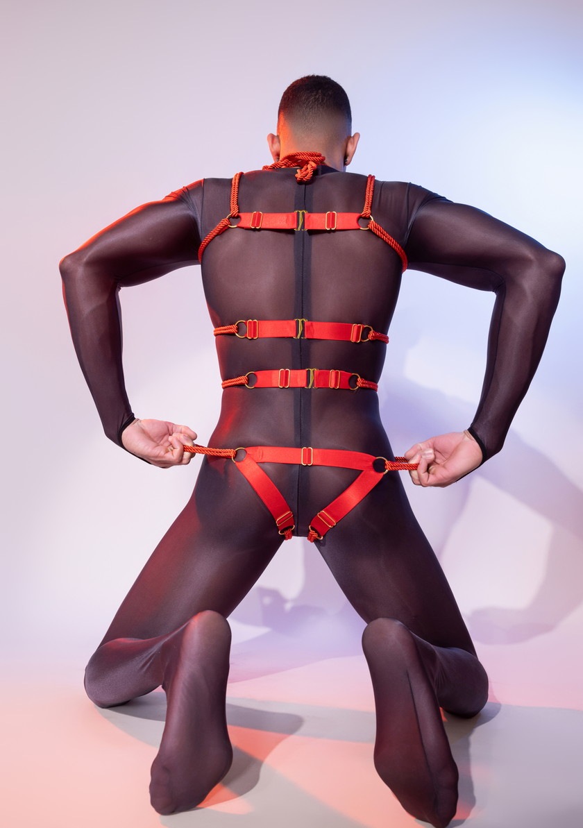 DEEP NOVA/�ǥ����ץΥ�  ��ܥǥ������� �ϡ��ͥ������� �ϡ��ͥ� ��« �� ��� ��«����