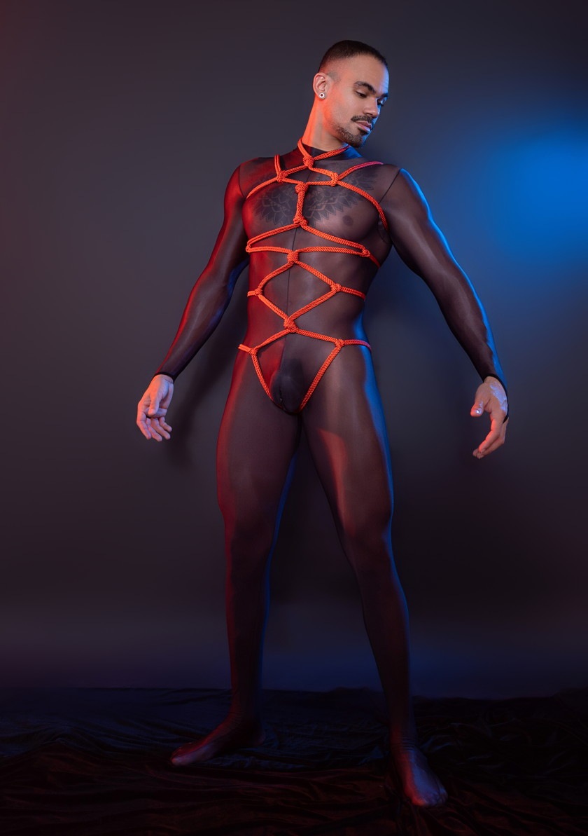 DEEP NOVA/�ǥ����ץΥ�  ��ܥǥ������� �ϡ��ͥ������� �ϡ��ͥ� ��« �� ��� ��«����