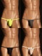 ���T�Хå� TM Collection ����ä�2way ���åפפä��� G-string ��� T�Хå� ���� �ѥ�� ���������������TM���쥯������
