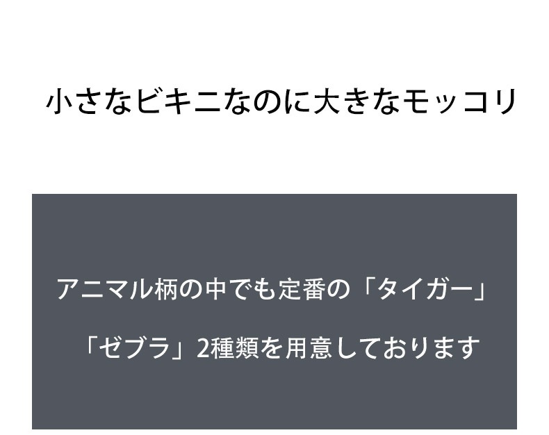 1027ȯ󥺥ӥ  G-Station/ơ  ֥ ˥ޥ ߥ˥ӥ ̥ե Ω˥    ʡ 饤 ߥ˥ʡ ޥʡ