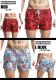 ��SEOBEAN/���ӥ�ۥХ�����������ܡ��ɥ��硼�ġ��������� ������ѥ�ġ����硼�ȥѥ�ķ������०�����������եѥ�ġ������եȥ�󥯥�