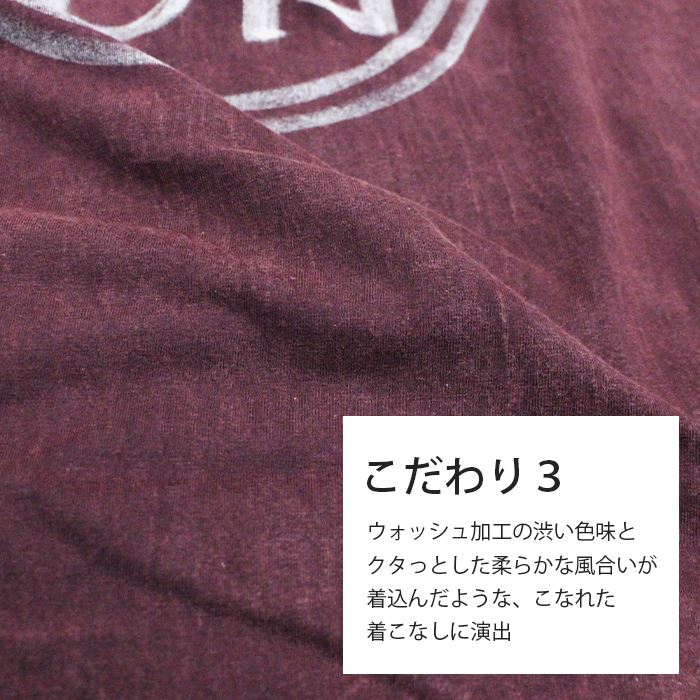 ˥å T Ⱦµ åȥ Ⱦµ ˽ SPT ϥɥڥ ӥ å ˥å  ӡ