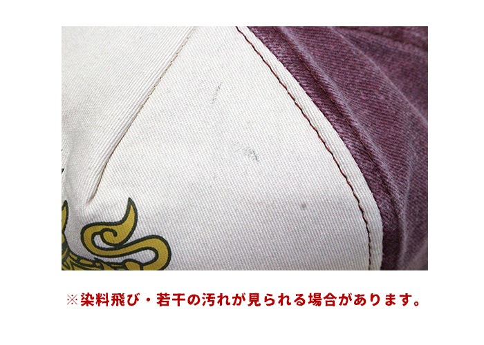 �ڥ᡼�����Բġ� ��˥��å��� �����ӡ���������᡼������å� 2025ǯ�ղ�