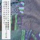 �����С������� �����륤���� �Ĥʤ� ���饸��ѥ�� �����˥å��ե��å���� ��SPT�ۥ��եꥫ��ץ��ȥѥå����륨�륵���ڥå� ̱²�� ��˥��å��� ��ä��� �礭�� �η����С� �롼�����륨�å�  �ܥإߥ��� �ե���