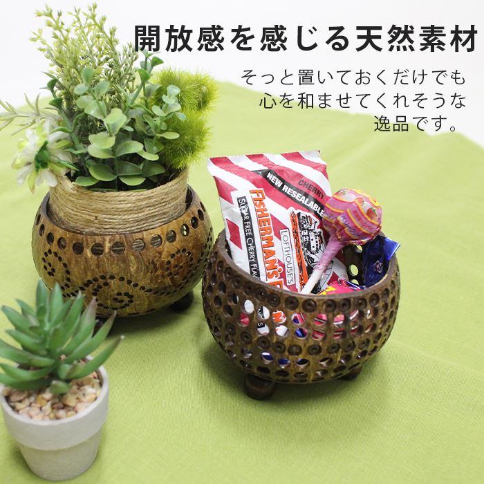 ��ʪ���� �ȥ쥤 �ܥ��� �����ʥå� �����ɥ�ۥ���� ������ �꥾���� ����ƥꥢ ܿ�� �ʥ�����