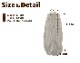 ڥ᡼Բġ ܥȥॹ 󥰥 ǥ SPTۥץ졼ݥ顼ѷ 2025ǯղ