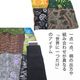�ѥå���� �����˥å� �������� �ѥ�� �磻�� ��SPT�ۤ��ä� �ڤ���ѥå�������륨��ѥ�� �ͥѡ��� �ɼ� ��ʪ ����Ū ���ѥ� �ڤ���