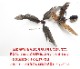 ��ʪ���� �ߤ겼����å� ����ƥꥢ ���� �����ʥå�Ļ������եϥ󥮥� �ȥ졼 �ߤ겼�� ��Ǽ ���� �������� ���å� �ʥ�����