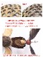 ��ʪ���� �ߤ겼����å� ����ƥꥢ ���� �����ʥå�Ļ������եϥ󥮥� �ȥ졼 �ߤ겼�� ��Ǽ ���� �������� ���å� �ʥ�����