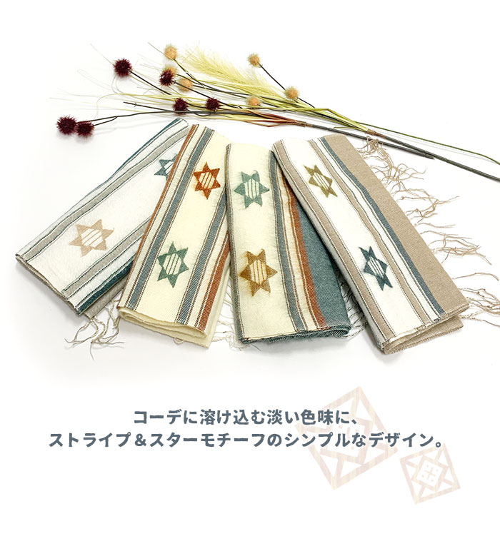 �ڥ᡼����OK�� �ޥե顼  ���硼�� ��ǥ����� �����ȥ饤�ס��������ߥǥ����ॹ�ȡ��� 2025ǯ����