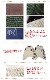 ڥ᡼Բġ 륨ѥ ˥å ǥ SPTۥͥѥۥץץȡ֥饸ѥ 2025ǯ