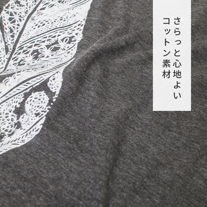 ԥ åȥ ǥ ץ 奢 ȥץȥ饦ɥåT 硼Ⱦ T 륨å  Ⱦµ