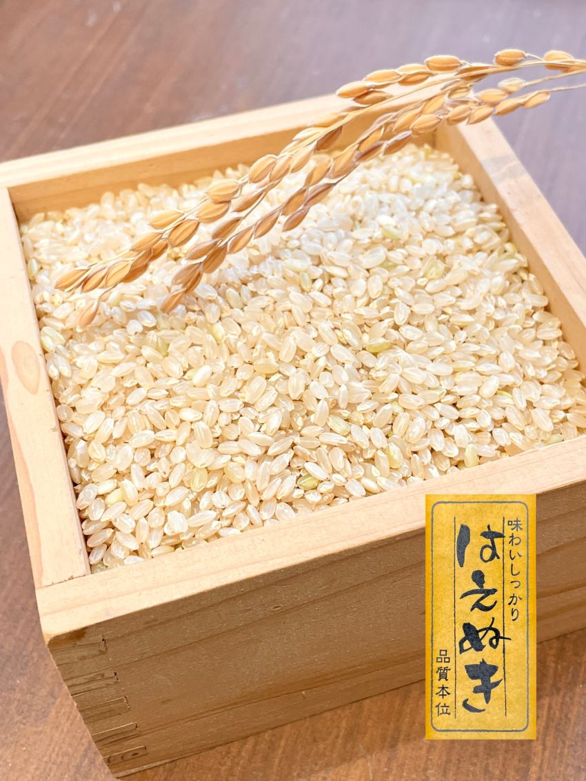 7年産　山形県産特別栽培米はえぬき　調整玄米１kg　