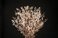 ����7ǯ��ʬ���ս�λ��������120�ѡ�10��