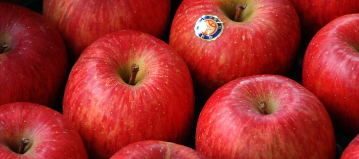 ����7ǯ��ʬ���ս�λ���ڲ����ѡۤդ����3kg