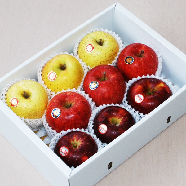 令和7年度分受付終了：りんご3種詰め合わせ　3kg