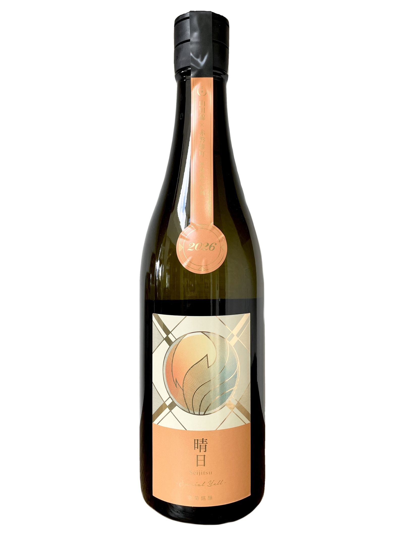 【数量限定】寒菊　晴日-SpecialYell-　720ml