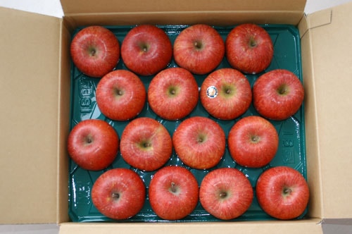 令和7年度分受付終了：【家庭用】ふじりんご5kg