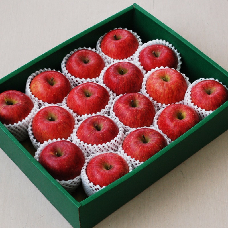 令和7年度分受付終了：【贈答用】ふじりんご5kg