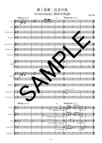 �ڥ������ۡظ������6�֡�Ļ��ŷ�Ȥ�����/Symphony no.6 "Birds and Angels"op.113��