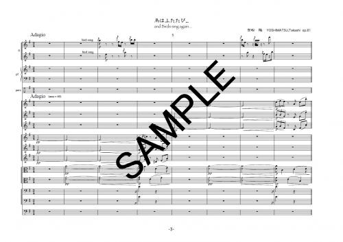 �ڥ������ۡ�Ļ�Ϥդ�����/and Birds sing again for Chamber Orchestra op.81�ټ��⥪�������ȥ�