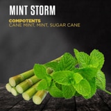 MINT STORM - Dozaj Black(ドザジ ブラック) シーシャフレーバー 100g